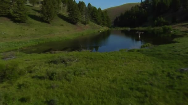 Повітряний постріл низько над невеликим озером — стокове відео