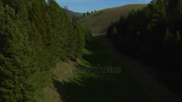 Aerial shot of narrow valley and mountains — Stock Video