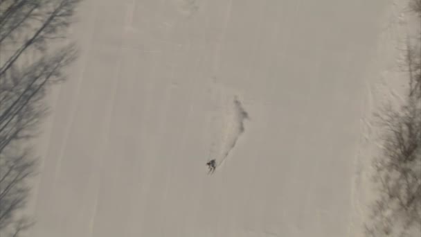 Plan aérien de deux skieurs en train de sculpter une piste — Video