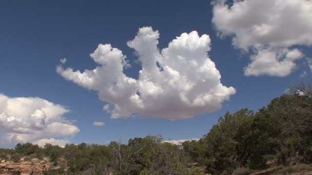 面白い雲がアリゾナ州 — ストック動画