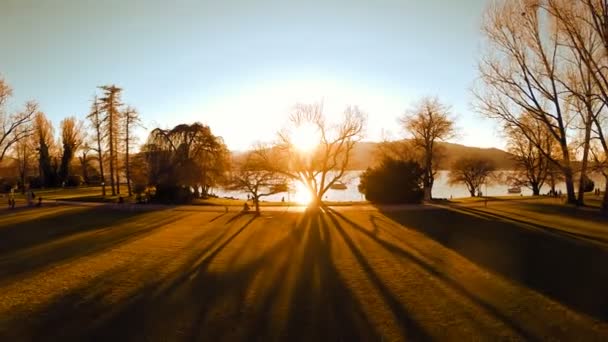 Beautiful lake magic hour light aerial view flying trees woods — Stock Video