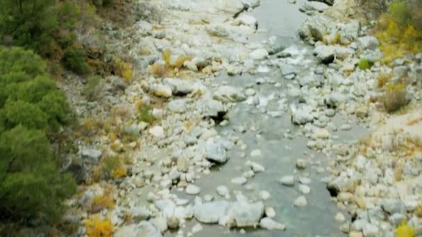 Herbe vallée rocheux ruisseau — Video
