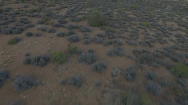 Привести к великому каньону во время заката — стоковое видео