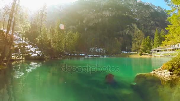 Pond turquoise water lake nature background aerial view fly over — Stock Video