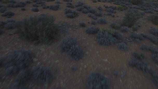 Vista panorámica del gran cañón de la noche — Vídeos de Stock