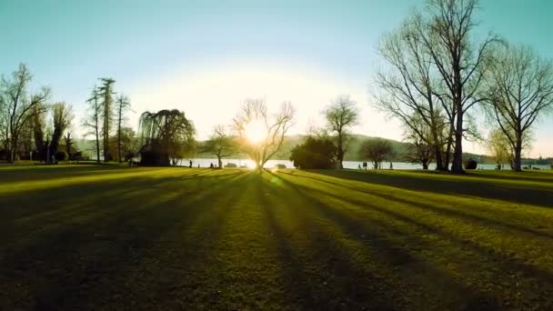 美丽的日落树剪影魔法飞行的小时光鸟瞰图 — 图库视频影像