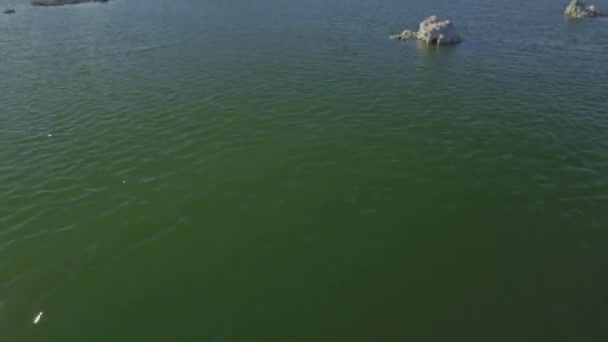 Нахилити повітря уздовж красивого гірського озера пейзаж — стокове відео