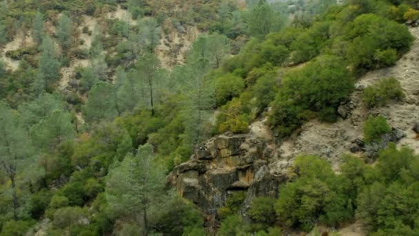Natursköna skogen täcks dalen — Stockvideo