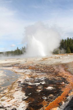 Yellowstone'da Şofben