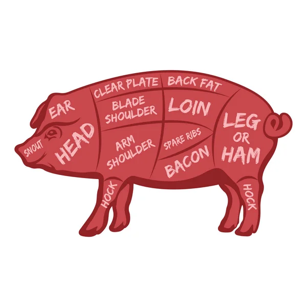 Кусочек мяса. Плакат мясника диаграмма, схема и руководство - Свинина . — стоковый вектор