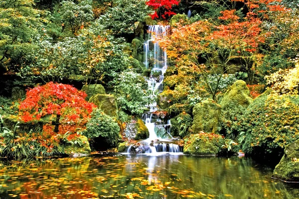 Waterfall, Japanese Garden