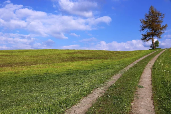 En jordbruks-landsvägen leder upp på berget — Stockfoto