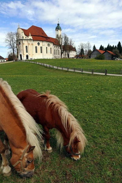 Den berömda Wieskirche i Steingaden i Bayern — Stockfoto