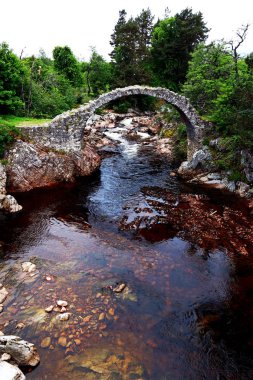 Carrbridge Packhorse Bridge'de en eski taş köprü İskoç dağlık olduğunu
