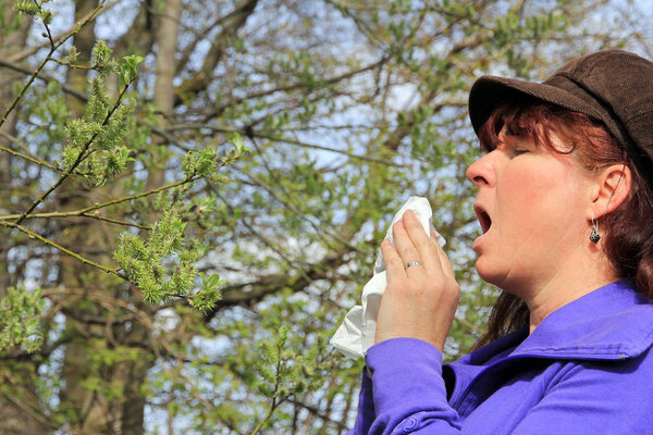 Severe sneezing in hay fever. A woman has hay fever