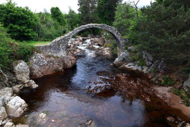 Carrbridge Packhorse Bridge'de en eski taş köprü İskoç dağlık olduğunu