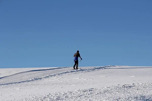 Langrennsløper Vinteren Mot Den Blå Himmelen Langrenn Populær Vintersport – stockfoto