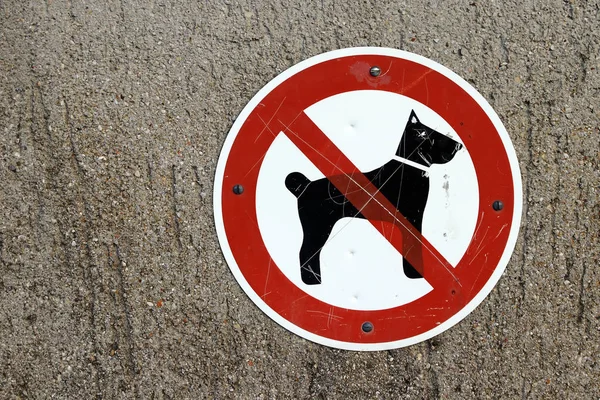 Schutzhunde Verboten Verbotsschilder Hunde — Stockfoto