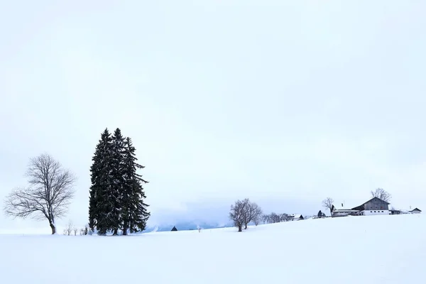 Paisaje Minimalista Invierno Con Nieve Árboles Una Granja Baviera —  Fotos de Stock