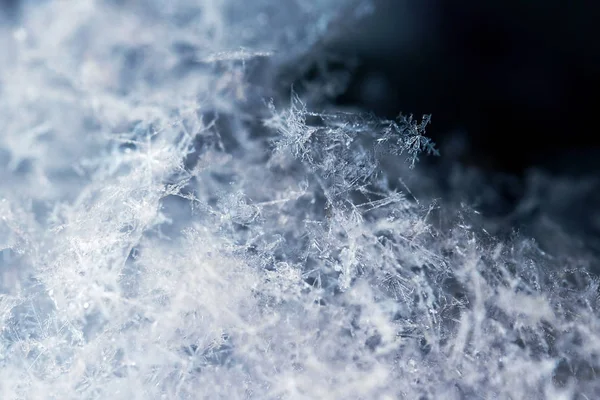 Primer Plano Los Copos Nieve Estrellas Congeladas Nieve Cristales Hielo —  Fotos de Stock