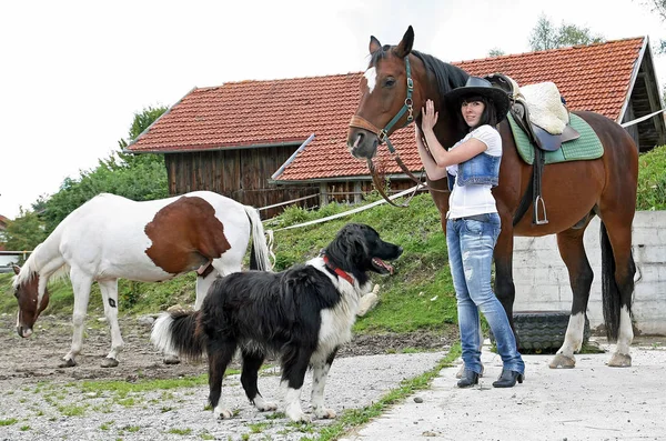 A pretty young woman with horses and a dog on a farm. A young rider with horses and dog