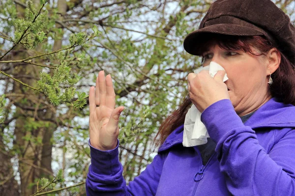 An older woman has hay fever. Hay fever begins in spring. A woman has a cold and is blowing into a handkerchief