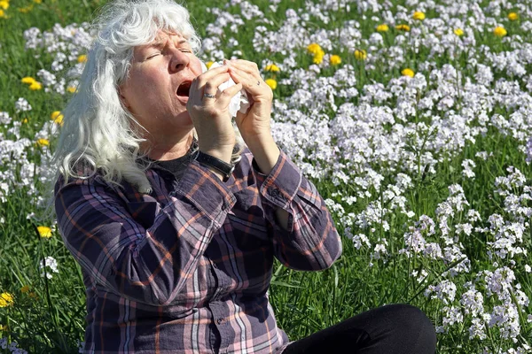 An older woman has hay fever. Hay fever begins in spring. A woman sneezes in a meadow