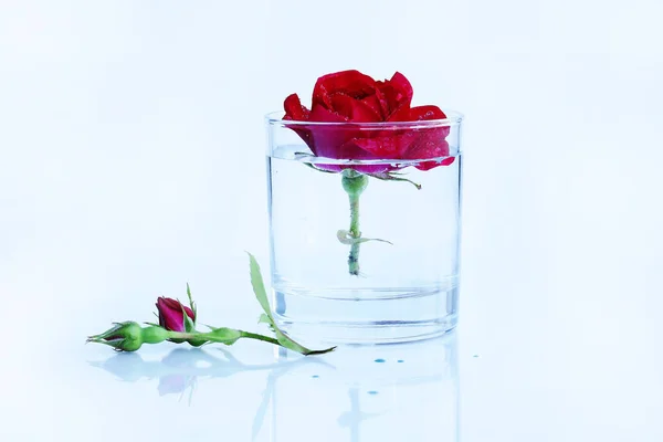 Duidelijk Schoon Zuiver Drinkwater Met Een Rode Roos — Stockfoto