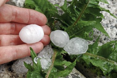 Large hailstones on the hand of a woman in a storm clipart