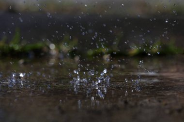 Şiddetli yağmurda yere büyük damlalar düşer.