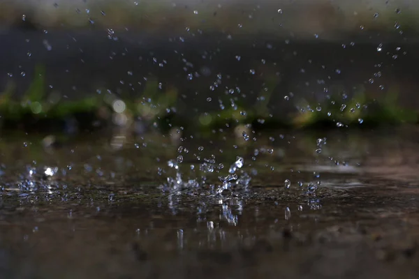 Large Drops Fall Ground Heavy Rain — Stock Photo, Image