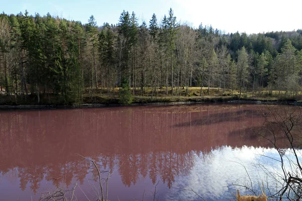 Naturphänomen Bayern Schwefellila Bakterien Färben Einen See Allgäu Rot Rosa — Stockfoto