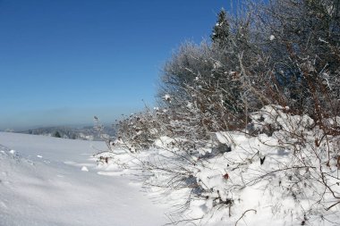 Bol karlı güneşli soğuk bir kış günü