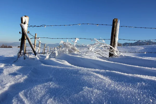 Dia Gelado Inverno Com Cristais Gelo Uma Cerca Chão — Fotografia de Stock