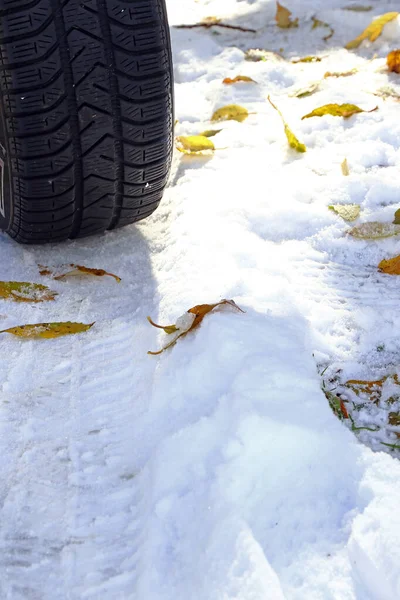Los Buenos Neumáticos Invierno Para Otoño Invierno Son Importantes Neumático —  Fotos de Stock