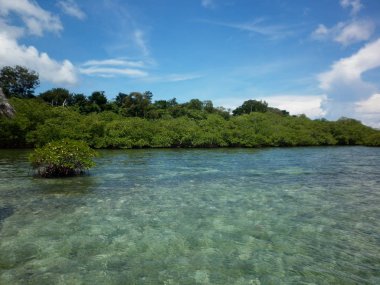 Gemideki Mangroves ile