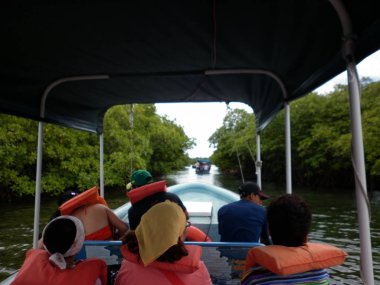 Gemideki Mangroves ile