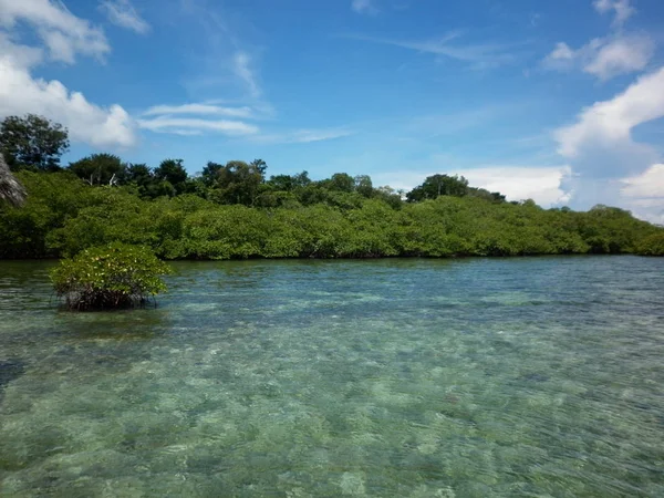 Gemideki Mangroves ile