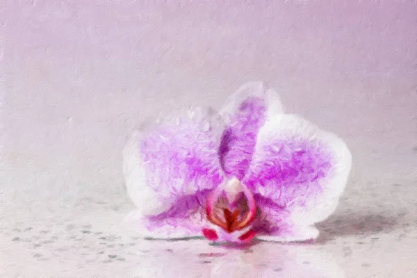 Orquídea rosa com orvalho. efeito pintura a óleo . — Fotografia de Stock