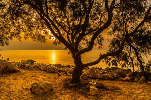 Bay Mallorca sahil üzerinde gündoğumu — Stok fotoğraf