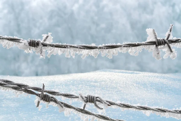Колючая проволока на зимнем фоне с сугробами — стоковое фото
