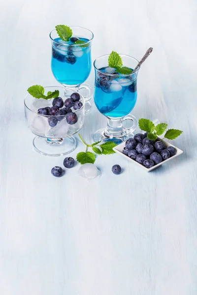 含酒精的鸡尾酒与蓝莓和薄荷。文本的空间 — 图库照片