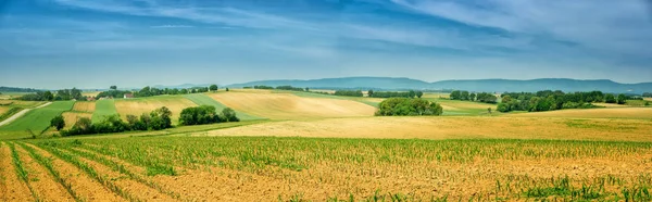 Панорама Эльзаса, катящегося пейзажа с линиями ростков. Франция — стоковое фото