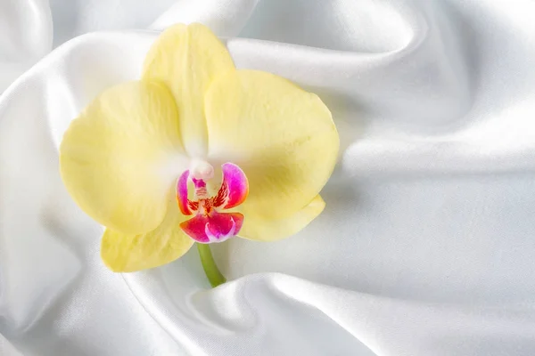 Orchid op een achtergrond van zijde — Stockfoto