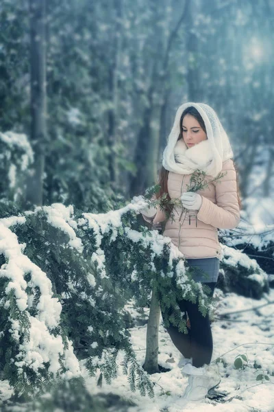 Beautiful young woman in winter forest — Stock Photo, Image