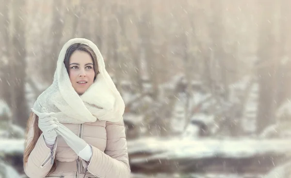 Mulher bonita na floresta de inverno. Imagem panorâmica . — Fotografia de Stock