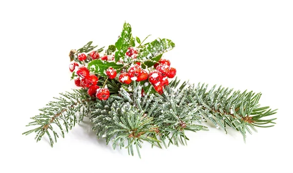 Vánoční dekorace s smrkových větví a břečťan. Izolovat na Svatodušní — Stock fotografie