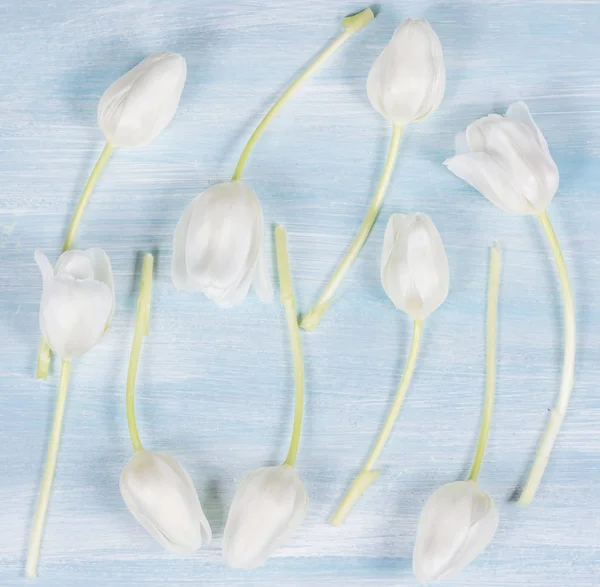 Tulipes blanches sur une table en bois. Vue du dessus . — Photo