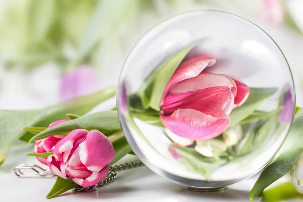 Carte de vœux avec tulipes et réflexion dans un bol en verre . — Photo