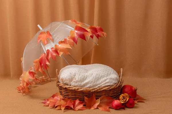 Cesta para bebê decorado com guarda-chuva e folhas de outono — Fotografia de Stock